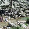 torrente del parco restonica_800x532